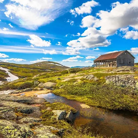 Moderne I Vestlia Med Wifi, Elbillader, Spill, Og Holiday home *