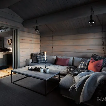 Holiday home Moderne I Vestlia Med Wifi, Elbillader, Spill, Og Geilo