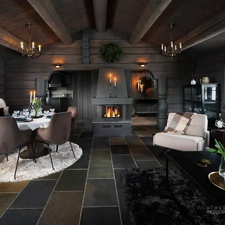 Moderne I Vestlia Med Wifi, Elbillader, Spill, Og Holiday home