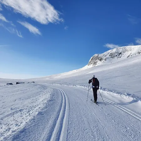 Moderne I Vestlia Med Wifi, Elbillader, Spill, Og Holiday home Geilo