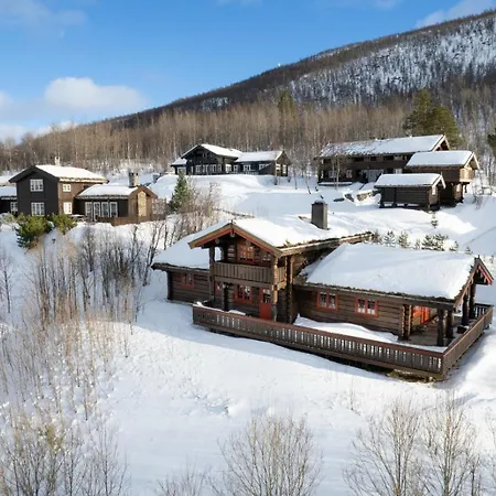 Holiday home Moderne I Vestlia Med Wifi, Elbillader, Spill, Og Geilo