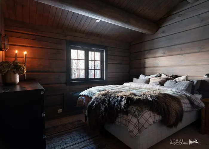 Modern In Vestlia - Ev Type 2 - Sauna - Wifi - Games