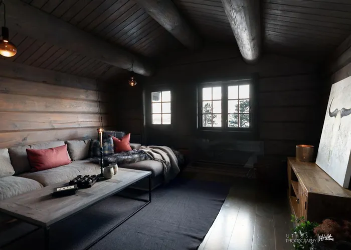Modern In Vestlia - Ev Type 2 - Sauna - Wifi - Games *