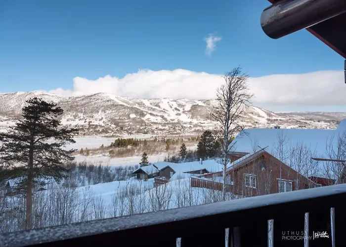 Modern In Vestlia - Ev Type 2 - Sauna - Wifi - Games * Geilo