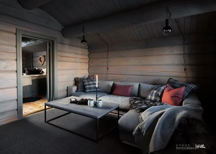 Ferienhaus Modern In Vestlia - Ev Type 2 - Sauna - Wifi - Games Geilo
