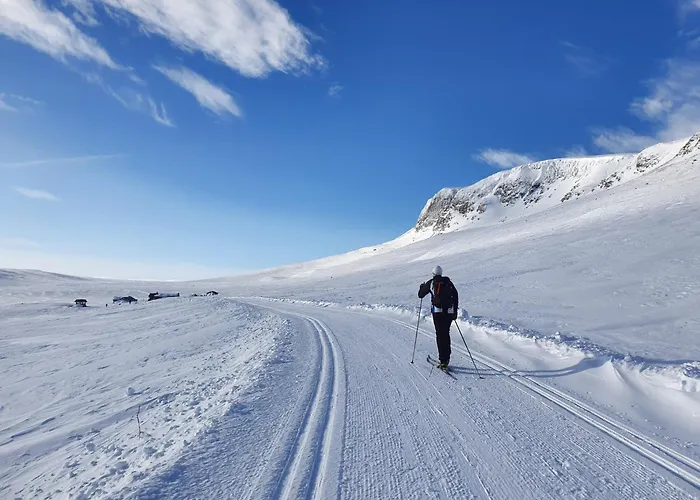 Modern In Vestlia - Ev Type 2 - Sauna - Wifi - Games Casa de Férias Geilo