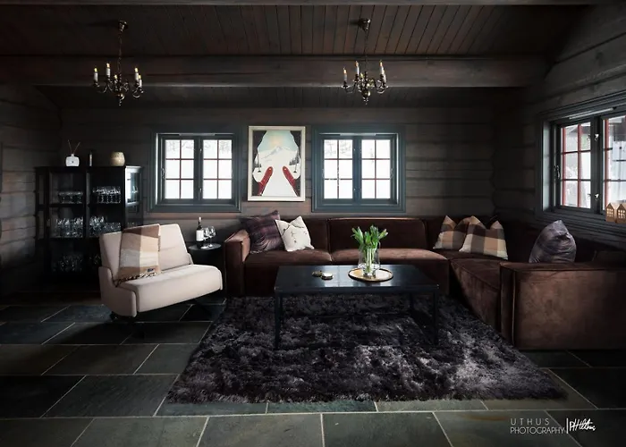 Modern In Vestlia - Ev Type 2 - Sauna - Wifi - Games * Geilo